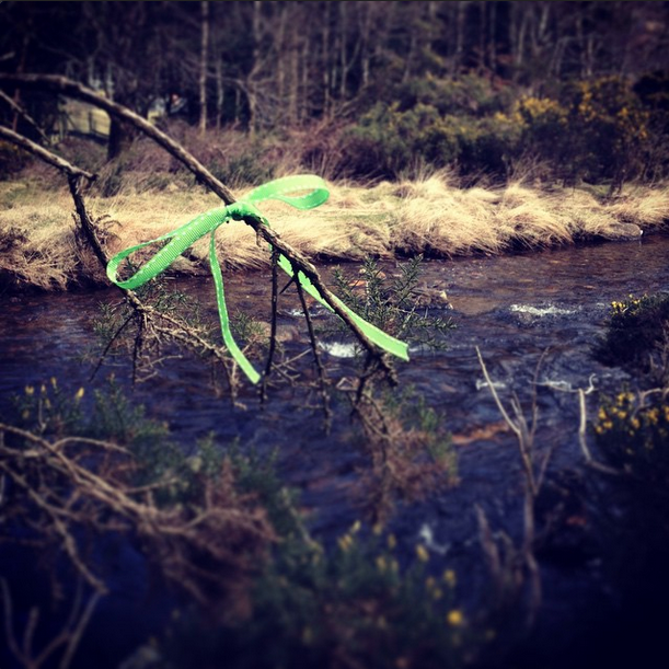Ireland 2015