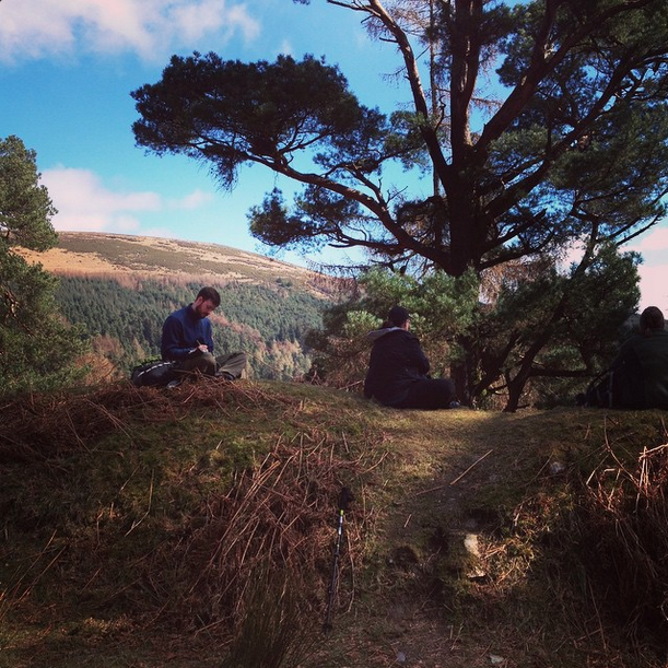 Ireland 2015