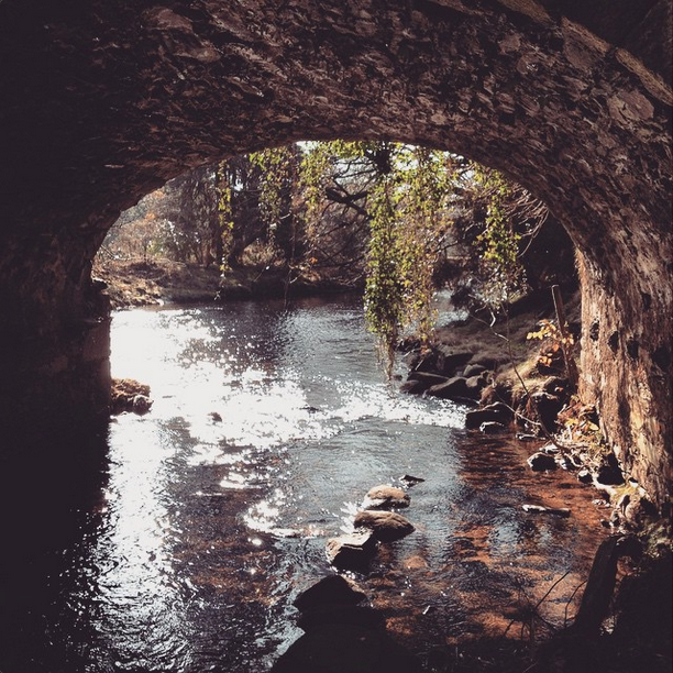 Ireland 2015
